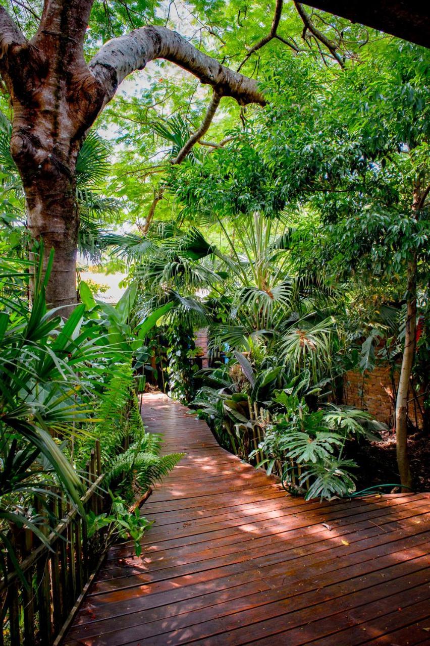 Bed and Breakfast Secret Garden Iguazu à Puerto Iguazú Extérieur photo